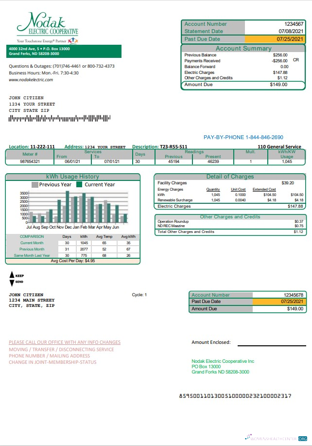 download USA North Dakota Nodak Electric Cooperative utility bill template in Word and PDF format PDF template